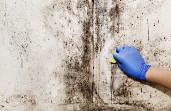 Mold Remediation From Superior Restoration and Remodeling